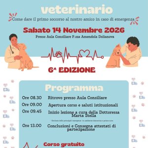 Locandina 