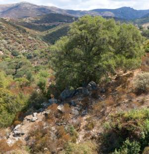 Tomba dei Giganti s'enna e pati 
